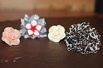     
: IMG_3550.jpg
: 12
:	97.9 
ID:	3287900