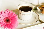    
: lori-0000207839-ynd.jpg
: 3
:	26.0 
ID:	3288597