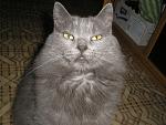     
: P1010010.jpg
: 16
:	179.5 
ID:	3292589
