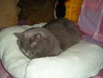     
: P1010023.jpg
: 15
:	85.6 
ID:	3292826