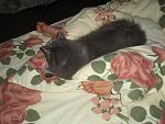     
: P1010002.jpg
: 17
:	106.8 
ID:	3292827