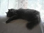     
: P1010003.jpg
: 17
:	85.1 
ID:	3292904