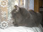    
: P1010003.jpg
: 15
:	198.2 
ID:	3292905