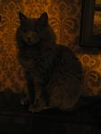     
: P1010008.jpg
: 14
:	52.3 
ID:	3292906