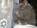     
: P1010010.jpg
: 15
:	167.8 
ID:	3292907