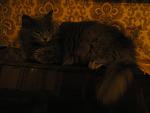     
: P1010006.jpg
: 14
:	84.1 
ID:	3292909