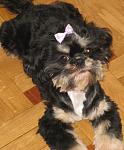     
: IMG_0545!.jpg
: 65
:	65.1 
ID:	329382