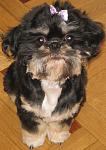     
: IMG_0540!.jpg
: 61
:	56.5 
ID:	329385
