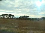     
: DSC01732.jpg
: 22
:	88.9 
ID:	3295344