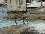     
: DSC01798.jpg
: 22
:	228.7 
ID:	3295383