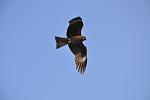     
: DSC_0119.jpg
: 25
:	28.8 
ID:	3295495