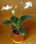     
:  18.05.09.jpg
: 57
:	58.7 
ID:	329667