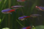     
: _MG_6069.jpg
: 48
:	58.7 
ID:	3297622