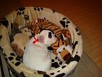     
: DSC01407.jpg
: 29
:	129.7 
ID:	3297913