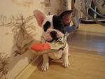     
: DSC01471.jpg
: 33
:	90.1 
ID:	3297921