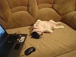     
: DSC01593.jpg
: 28
:	91.0 
ID:	3297922