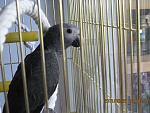     
: IMG_4579.jpg
: 25
:	150.6 
ID:	3298598
