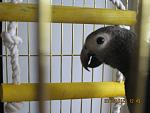     
: IMG_4580.jpg
: 23
:	118.2 
ID:	3298604