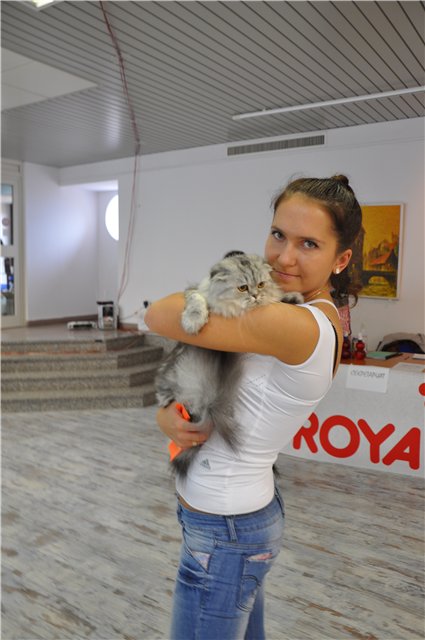    
: 15bea5e27cad.jpg
: 1289
:	50.1 
ID:	3300577
