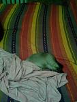     
: Photo-0002.jpg
: 38
:	76.1 
ID:	3300628