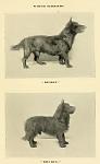     
: 1890Scotties2.jpg
: 15
:	30.6 
ID:	3300663