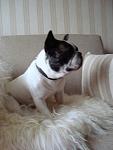     
: DSC01156.JPG
: 18
:	264.8 
ID:	3303020