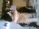     
: 02052009(002).jpg
: 23
:	166.2 
ID:	3304327