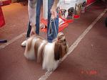     
: DSC02205.jpg
: 41
:	92.5 
ID:	330539
