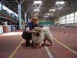     
: DSC02167.jpg
: 64
:	132.4 
ID:	330569