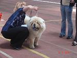     
: DSC02184.jpg
: 51
:	83.2 
ID:	330574
