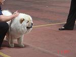     
: DSC02192.jpg
: 47
:	74.6 
ID:	330579