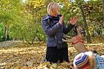    
: IMG_4344.jpg
: 47
:	211.3 
ID:	3311800