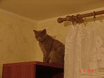     
: DSC02092.jpg
: 32
:	56.1 
ID:	331515