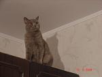     
: DSC02218.jpg
: 31
:	45.1 
ID:	331516