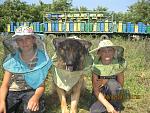     
: IMG_0652.jpg
: 520
:	248.0 
ID:	3315755