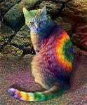    
: 320c12660336-1.jpg
: 26
:	72.1 
ID:	3317879