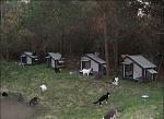     
: image00671-600x437.jpg
: 19
:	68.5 
ID:	3317941