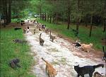     
: image00561-600x437.jpg
: 19
:	90.9 
ID:	3317942