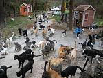     
: image00341.jpg
: 28
:	112.0 
ID:	3317943