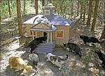     
: image01112-600x437.jpg
: 12
:	93.5 
ID:	3317944