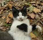     
: DSCN4564.jpg
: 50
:	108.3 
ID:	3318824