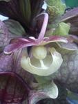     
: DSC00287.jpg
: 13
:	54.9 
ID:	3319850
