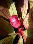     
: DSC00078.jpg
: 16
:	107.2 
ID:	3319851