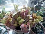     
: DSC00328.jpg
: 18
:	189.9 
ID:	3319852