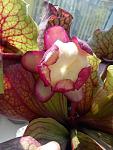    
: DSC00211.jpg
: 14
:	94.5 
ID:	3319855
