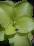     
: DSC00083.jpg
: 6
:	108.2 
ID:	3319915