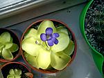     
: DSC00202.jpg
: 5
:	112.0 
ID:	3319917