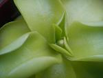     
: DSC00285.jpg
: 5
:	93.6 
ID:	3319918