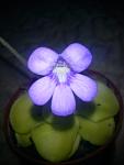     
: DSC00273.jpg
: 7
:	39.6 
ID:	3319920