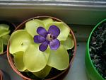     
: DSC00198.jpg
: 3
:	82.5 
ID:	3319921